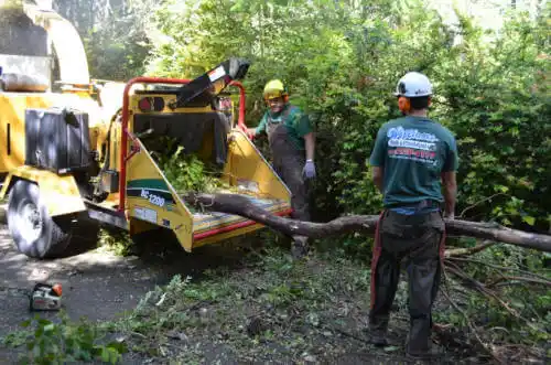 tree services Home Garden